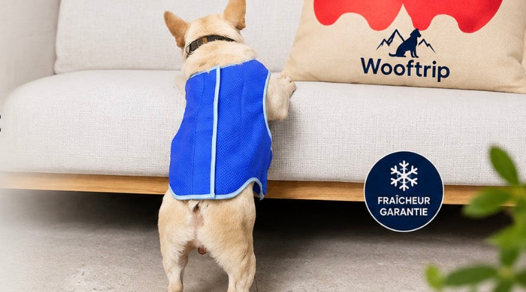 Gilet Rafraîchissant Nomade™