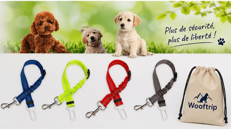 Ceinture de sécurité réglable pour chien – Woof Trip®